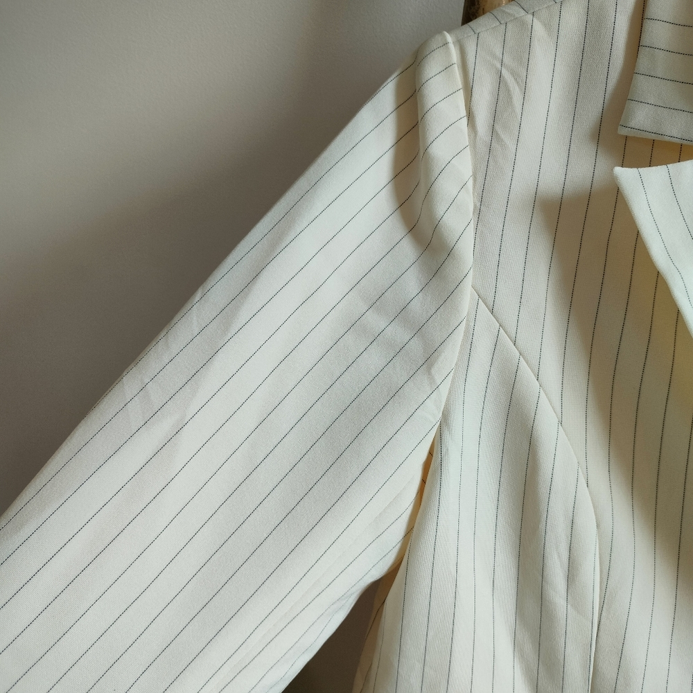 Vintage Single Breasted Striped Blazer - Picture 14 of 17